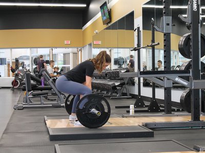 Article featured image