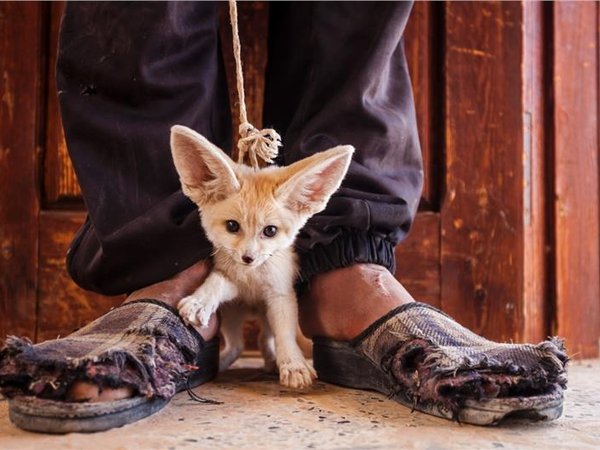 Article featured image