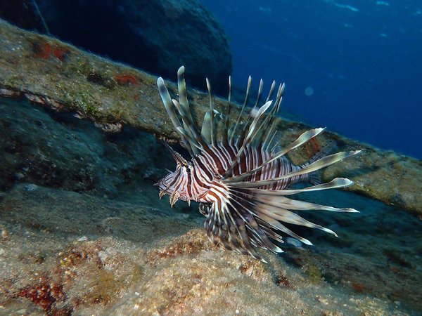 Article featured image