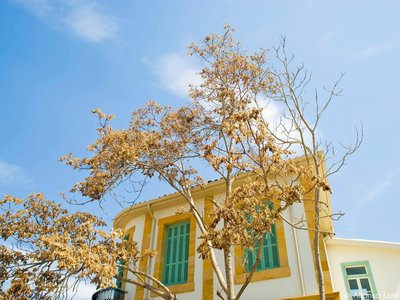 Article featured image