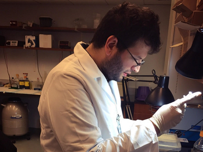 Article featured image