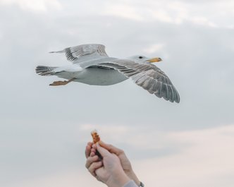 Article featured image
