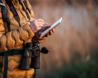 Article featured image