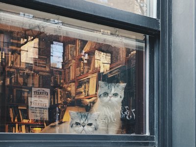 Article featured image