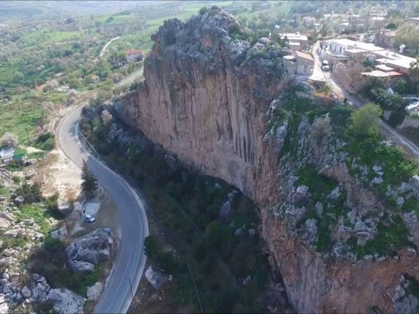 Article featured image