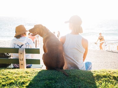 Article featured image