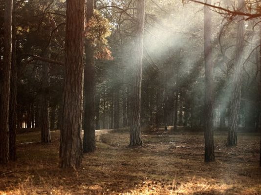 Article featured image