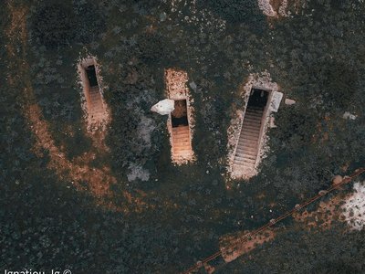 Article featured image