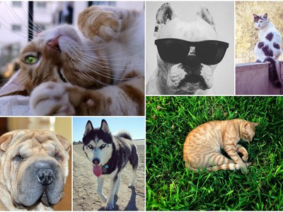 Article featured image