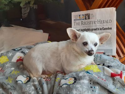 Article featured image