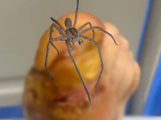 Article featured image