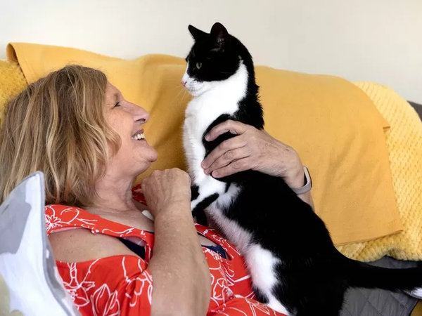 Article featured image