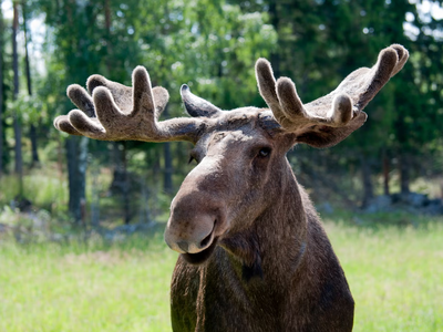 Article featured image