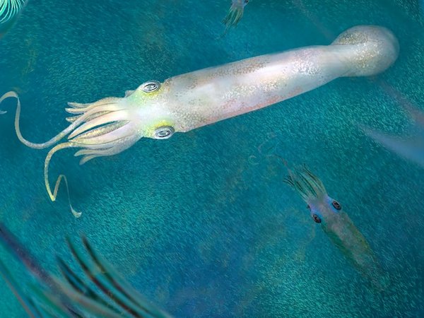 Article featured image