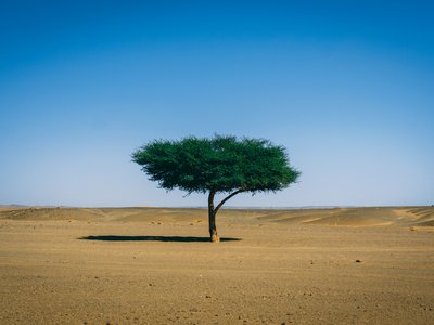 Article featured image