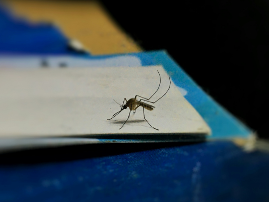 Article featured image