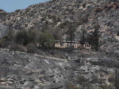 Article featured image