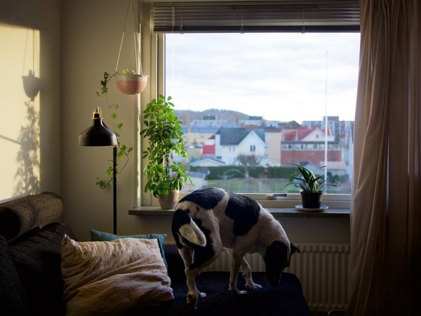 Article featured image