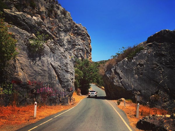 Article featured image