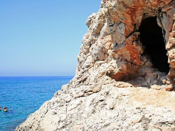 Article featured image