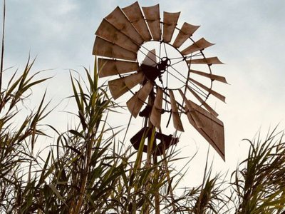 Article featured image