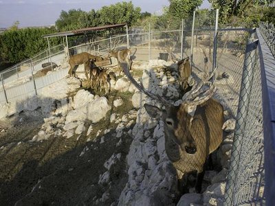 Article featured image