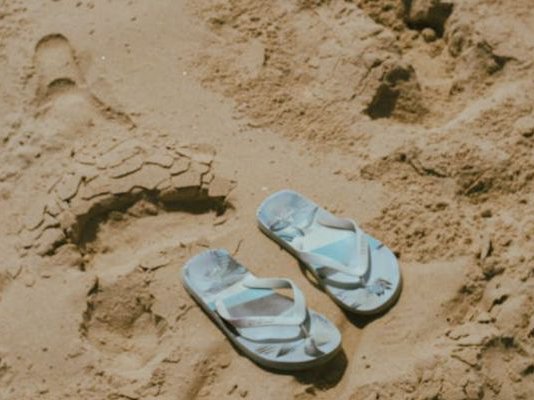 Article featured image