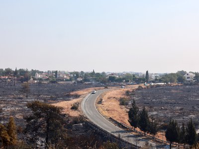 Article featured image