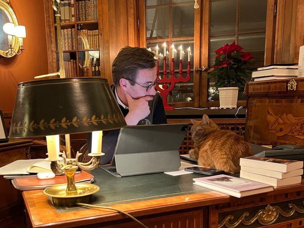 Article featured image