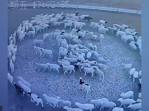 Article featured image