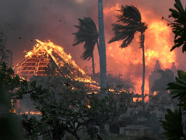 Article featured image