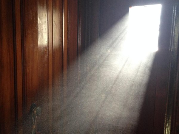 Article featured image