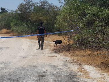 Article featured image