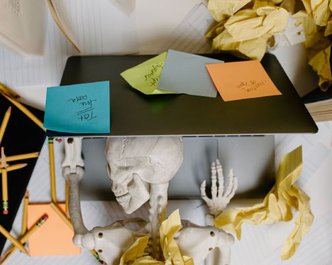 Article featured image