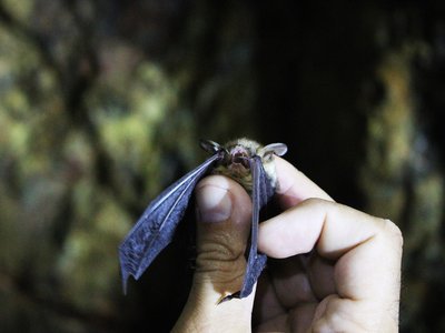Article featured image