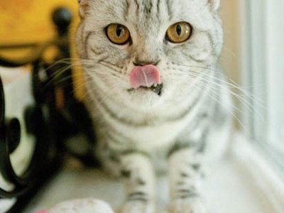 Article featured image