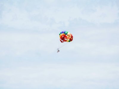 Article featured image