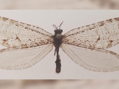 Article featured image