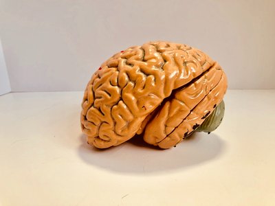 Article featured image
