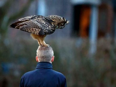 Article featured image