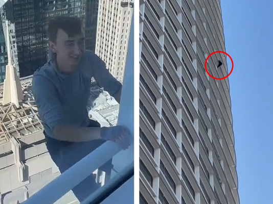 Article featured image