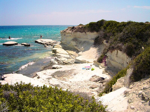 Article featured image