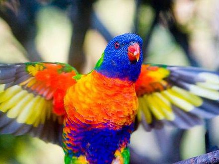 Article featured image