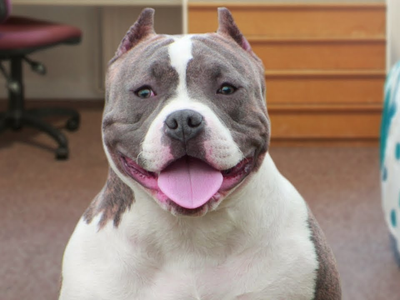 Article featured image