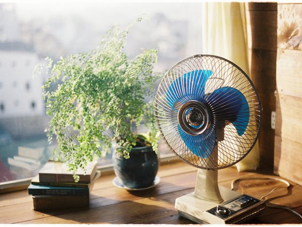 Article featured image