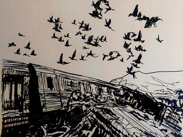 Article featured image