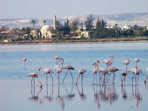 Article featured image