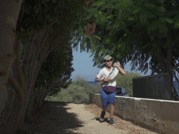 Article featured image