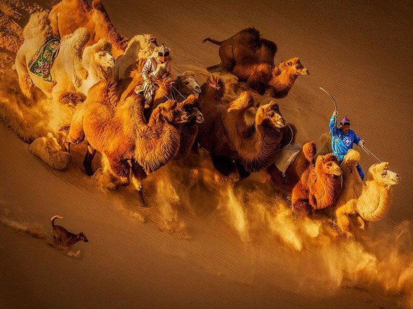 Article featured image