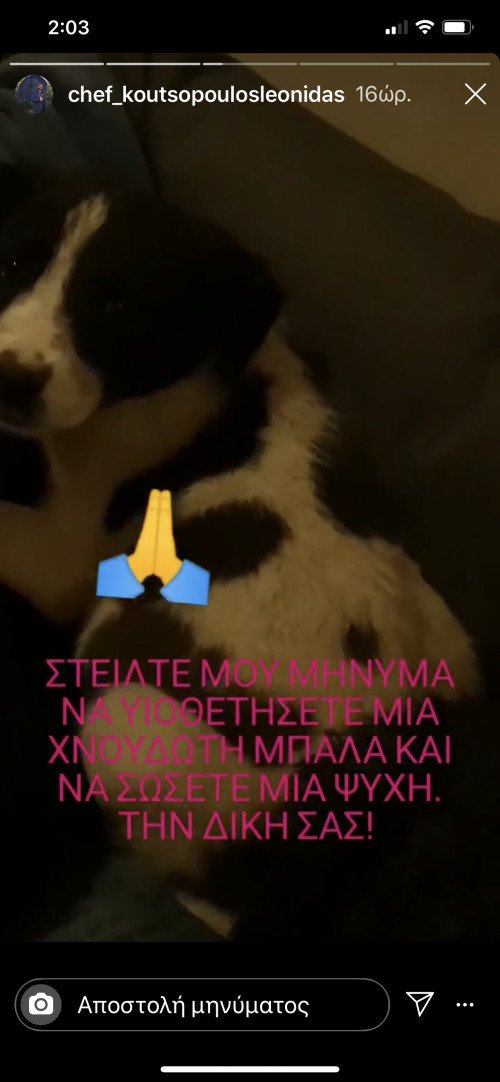 1631249_sef_koutsopoulos_1388.PNG.jpg